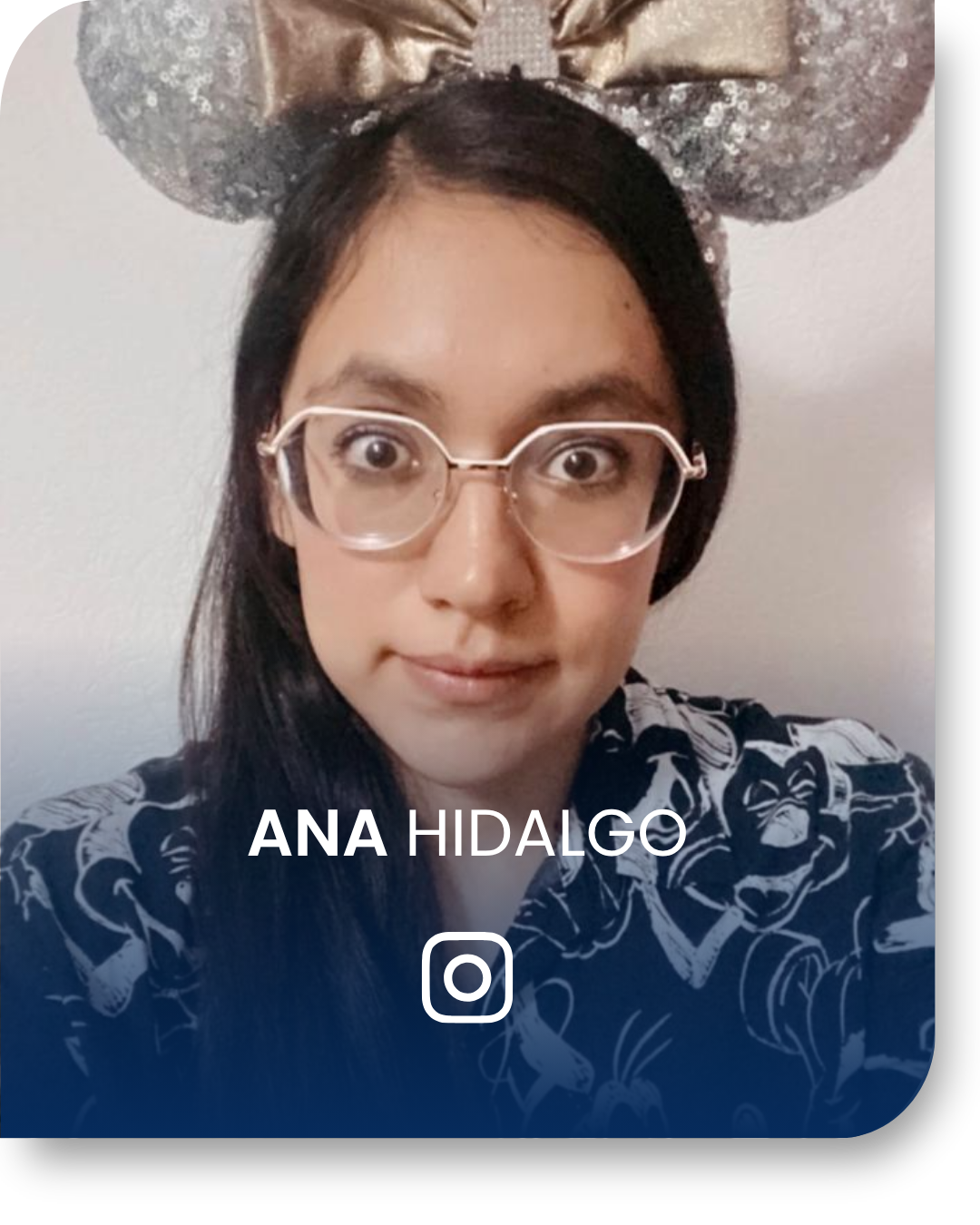 perfil-agentes